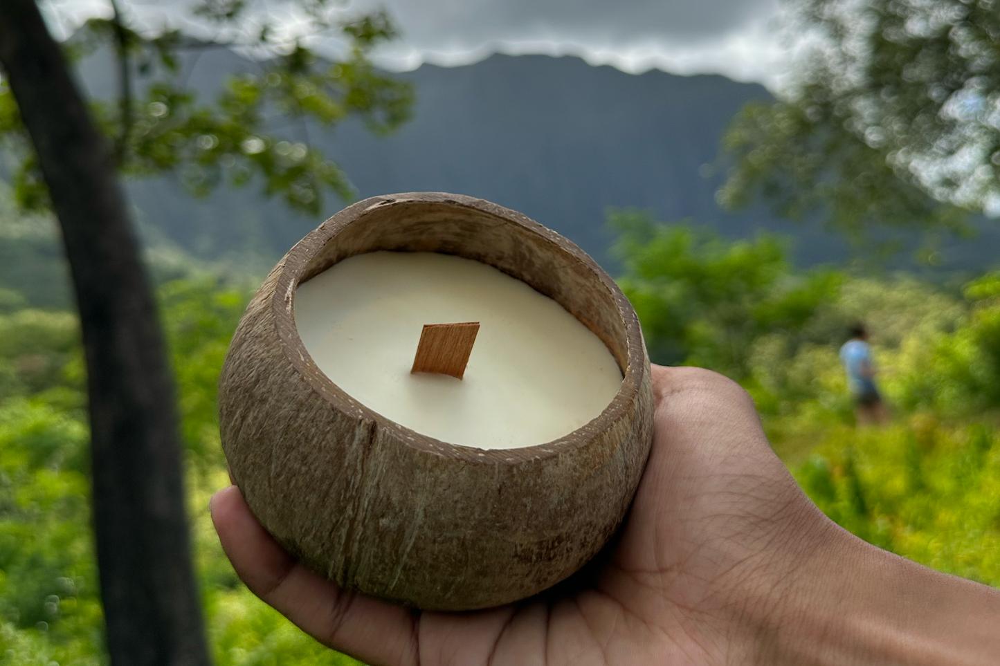 Coconut Candle