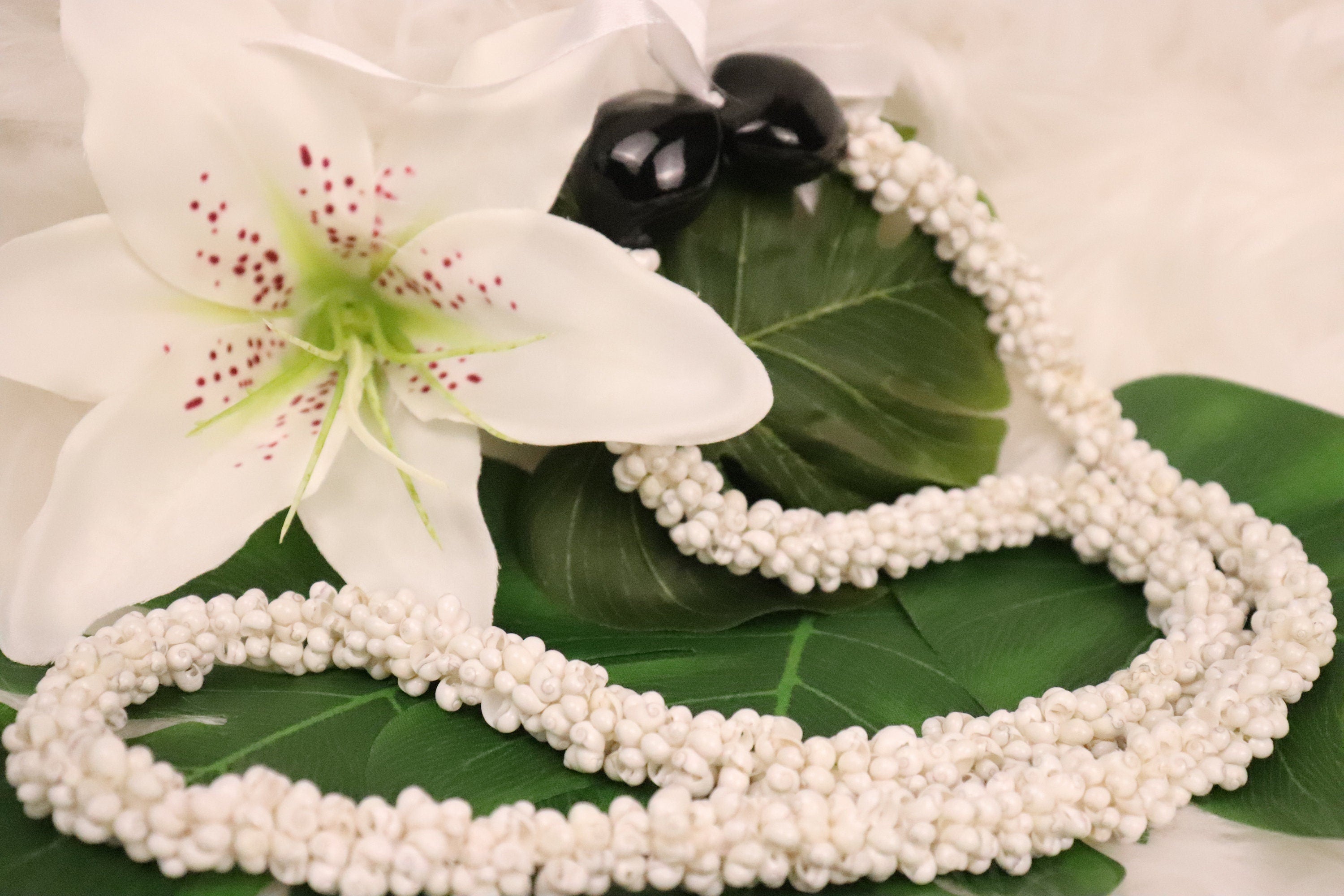 Premium Kukui Nut Lei Paradise in a box